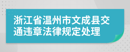 浙江省温州市文成县交通违章法律规定处理