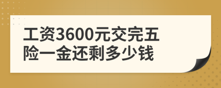 工资3600元交完五险一金还剩多少钱