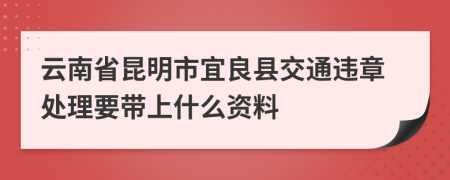 云南省昆明市宜良县交通违章处理要带上什么资料