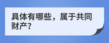 具体有哪些，属于共同财产？