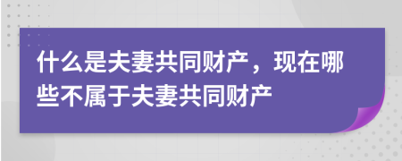 什么是夫妻共同财产，现在哪些不属于夫妻共同财产