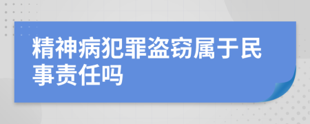 精神病犯罪盗窃属于民事责任吗