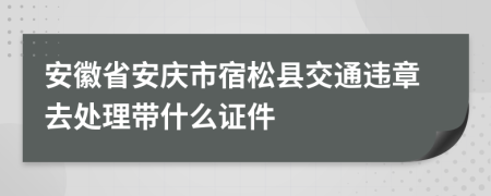 安徽省安庆市宿松县交通违章去处理带什么证件