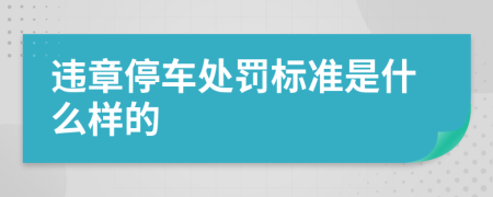 违章停车处罚标准是什么样的