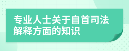 专业人士关于自首司法解释方面的知识