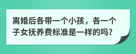 离婚后各带一个小孩，各一个子女抚养费标准是一样的吗？