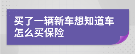 买了一辆新车想知道车怎么买保险