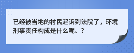 已经被当地的村民起诉到法院了，环境刑事责任构成是什么呢、?