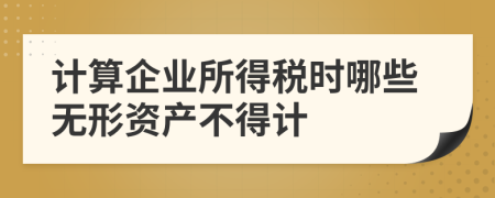 计算企业所得税时哪些无形资产不得计