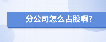 分公司怎么占股啊?