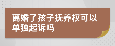 离婚了孩子抚养权可以单独起诉吗