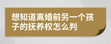 想知道离婚前另一个孩子的抚养权怎么判