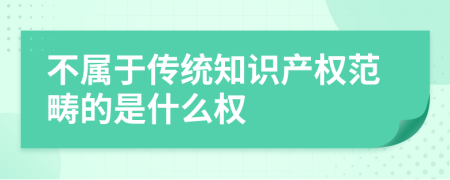 不属于传统知识产权范畴的是什么权