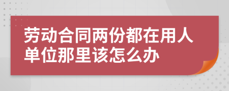 劳动合同两份都在用人单位那里该怎么办