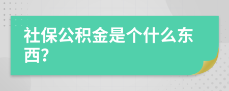 社保公积金是个什么东西？