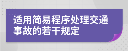 适用简易程序处理交通事故的若干规定