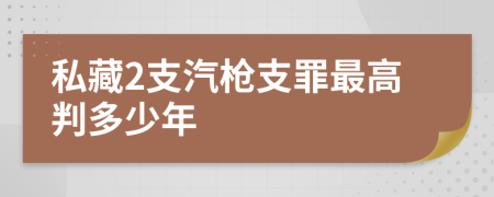 私藏2支汽枪支罪最高判多少年