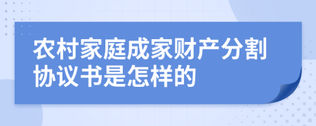 农村家庭成家财产分割协议书是怎样的