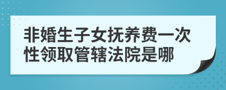 非婚生子女抚养费一次性领取管辖法院是哪