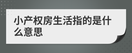 小产权房生活指的是什么意思