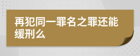 再犯同一罪名之罪还能缓刑么