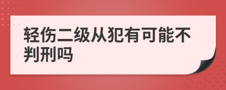 轻伤二级从犯有可能不判刑吗