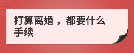 打算离婚 ，都要什么手续