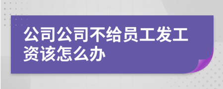 公司公司不给员工发工资该怎么办