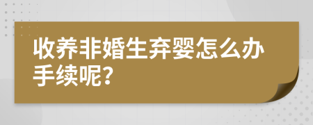 收养非婚生弃婴怎么办手续呢？