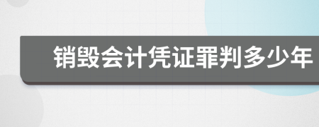 销毁会计凭证罪判多少年