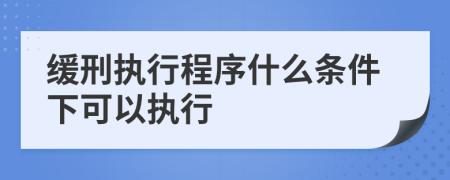 缓刑执行程序什么条件下可以执行