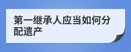 第一继承人应当如何分配遗产