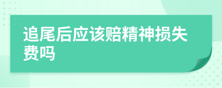 追尾后应该赔精神损失费吗