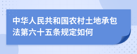 中华人民共和国农村土地承包法第六十五条规定如何