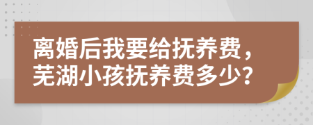 离婚后我要给抚养费，芜湖小孩抚养费多少？