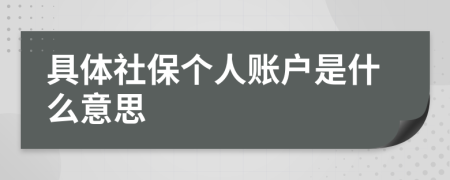 具体社保个人账户是什么意思