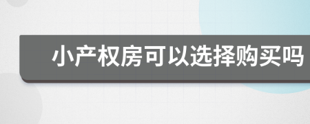 小产权房可以选择购买吗