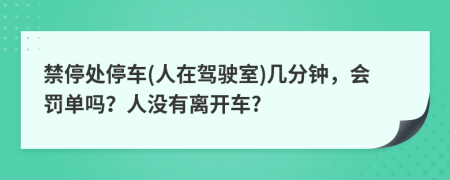 禁停处停车(人在驾驶室)几分钟，会罚单吗？人没有离开车?