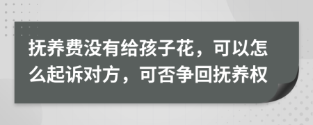 抚养费没有给孩子花，可以怎么起诉对方，可否争回抚养权