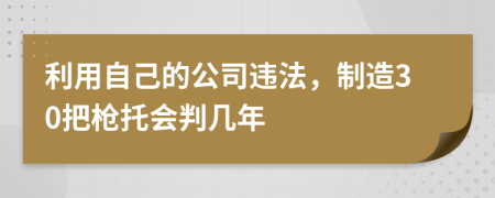 利用自己的公司违法，制造30把枪托会判几年