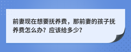 前妻现在想要抚养费，那前妻的孩子抚养费怎么办？应该给多少？