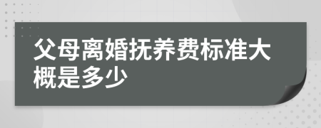 父母离婚抚养费标准大概是多少