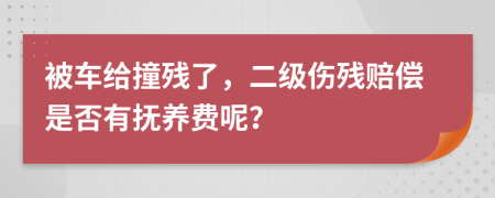 被车给撞残了，二级伤残赔偿是否有抚养费呢？