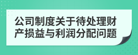 公司制度关于待处理财产损益与利润分配问题