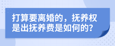 打算要离婚的，抚养权是出抚养费是如何的？