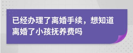 已经办理了离婚手续，想知道离婚了小孩抚养费吗