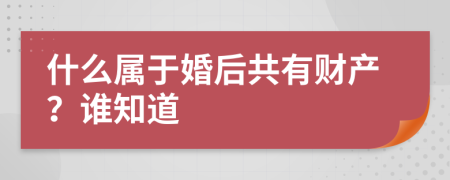 什么属于婚后共有财产？谁知道