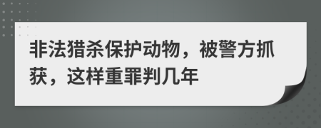 非法猎杀保护动物，被警方抓获，这样重罪判几年