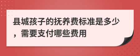 县城孩子的抚养费标准是多少，需要支付哪些费用