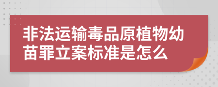 非法运输毒品原植物幼苗罪立案标准是怎么